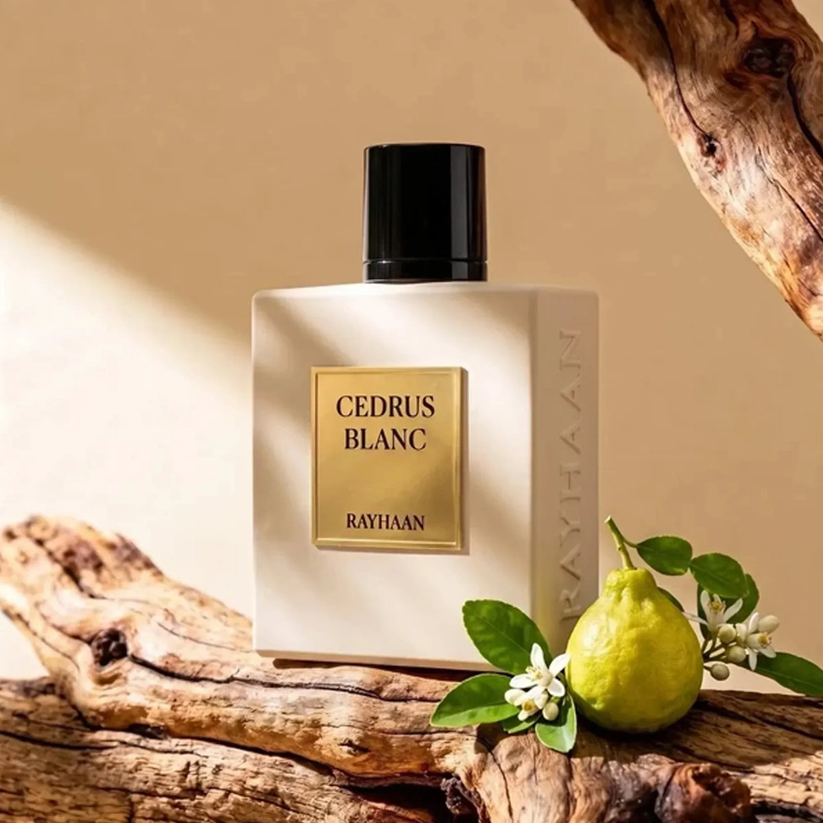 Rayhaan Cedrus Blanc Eau de Parfum